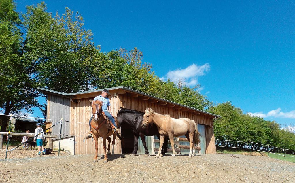 Landgasthof Dittersdorfer Hoehe Amtsberg Exterior foto