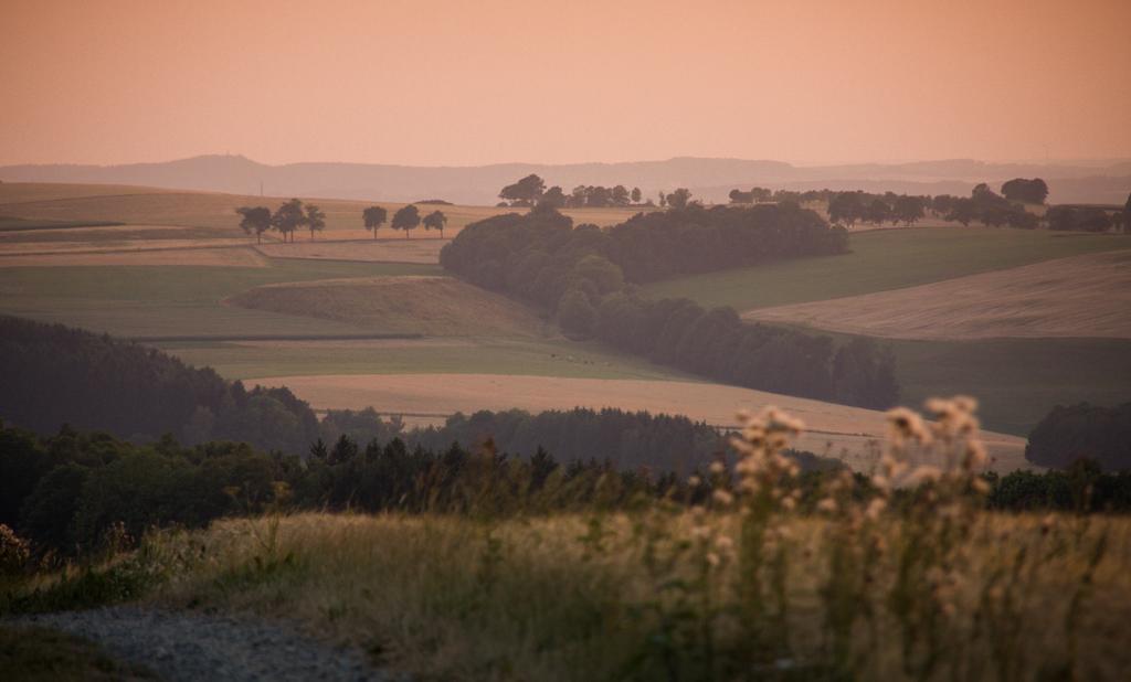 Landgasthof Dittersdorfer Hoehe Amtsberg Exterior foto