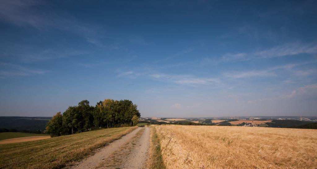 Landgasthof Dittersdorfer Hoehe Amtsberg Exterior foto